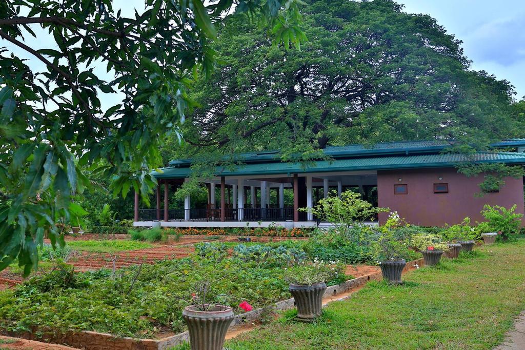 Hotel Grand & Gangula Dambulla Exterior foto