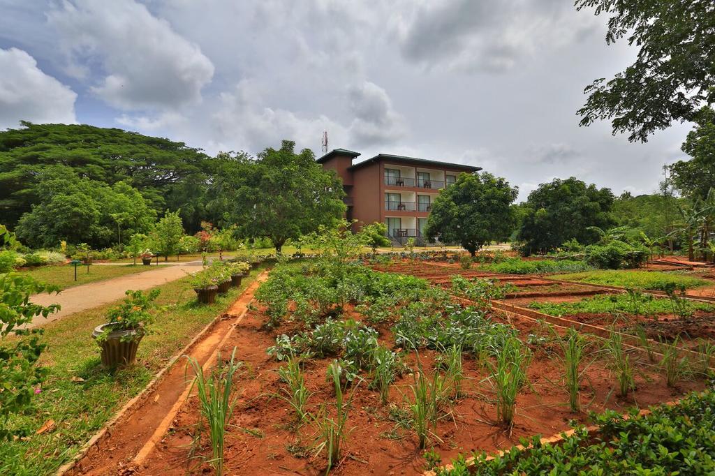 Hotel Grand & Gangula Dambulla Exterior foto