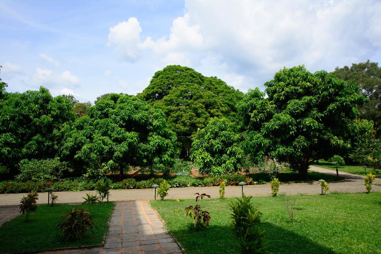 Hotel Grand & Gangula Dambulla Exterior foto
