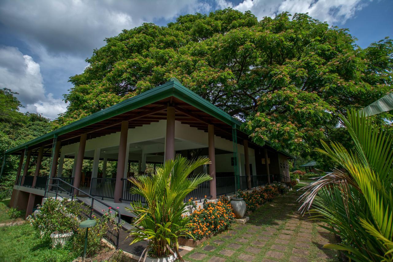 Hotel Grand & Gangula Dambulla Exterior foto