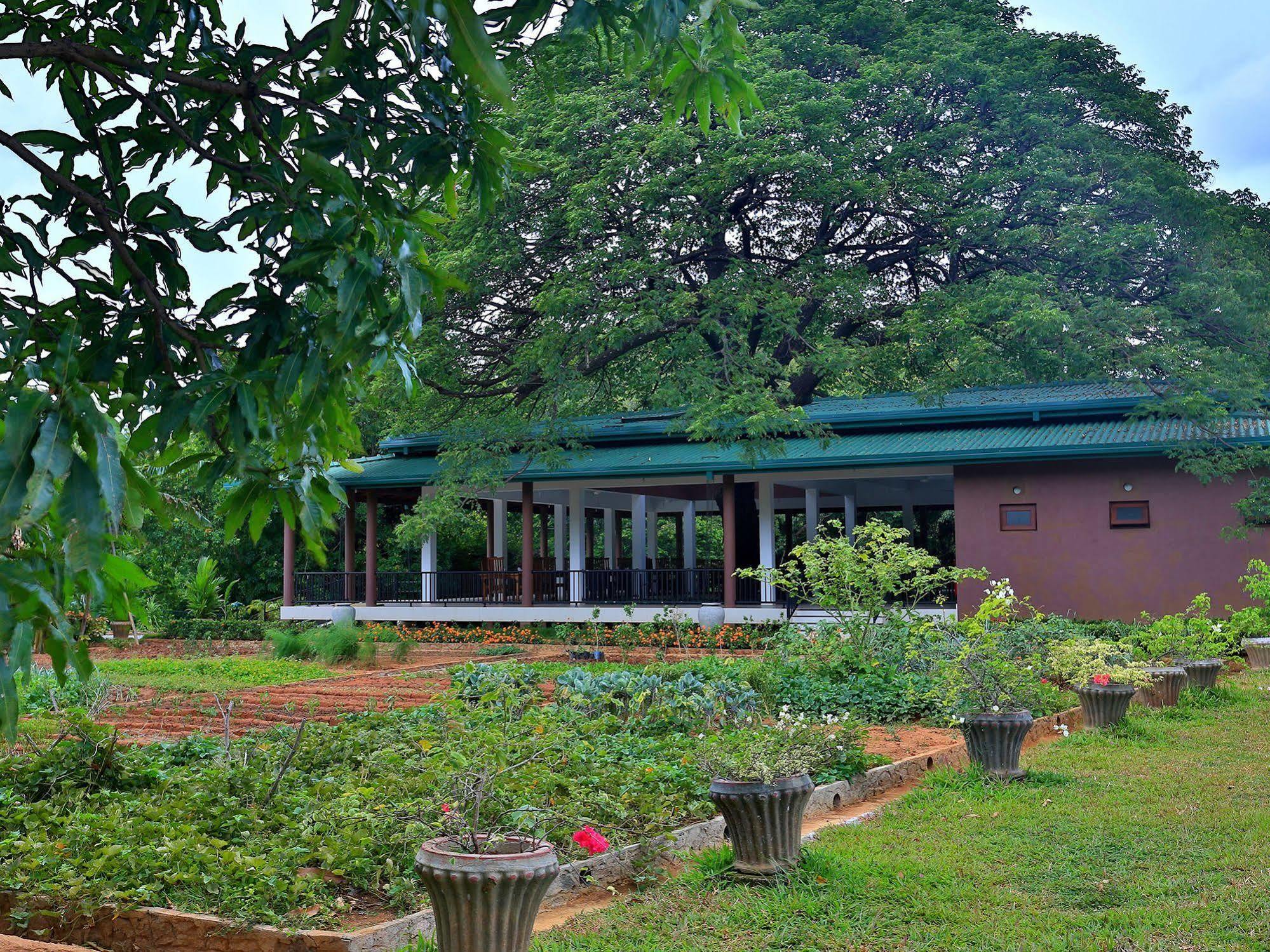 Hotel Grand & Gangula Dambulla Exterior foto