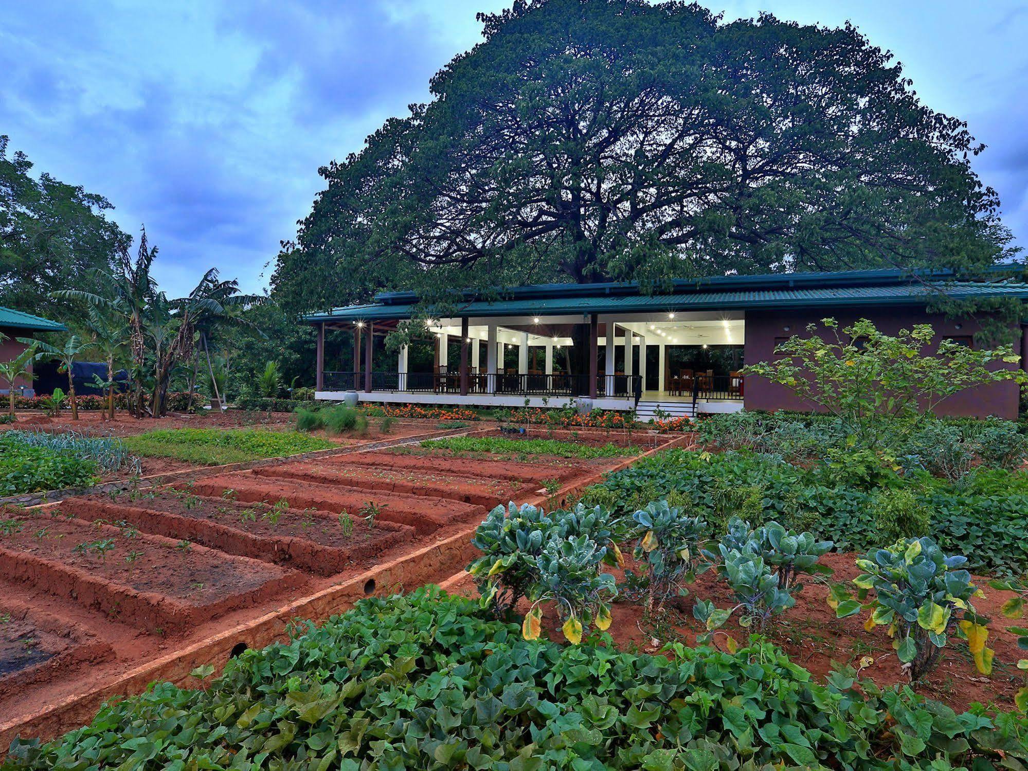 Hotel Grand & Gangula Dambulla Exterior foto