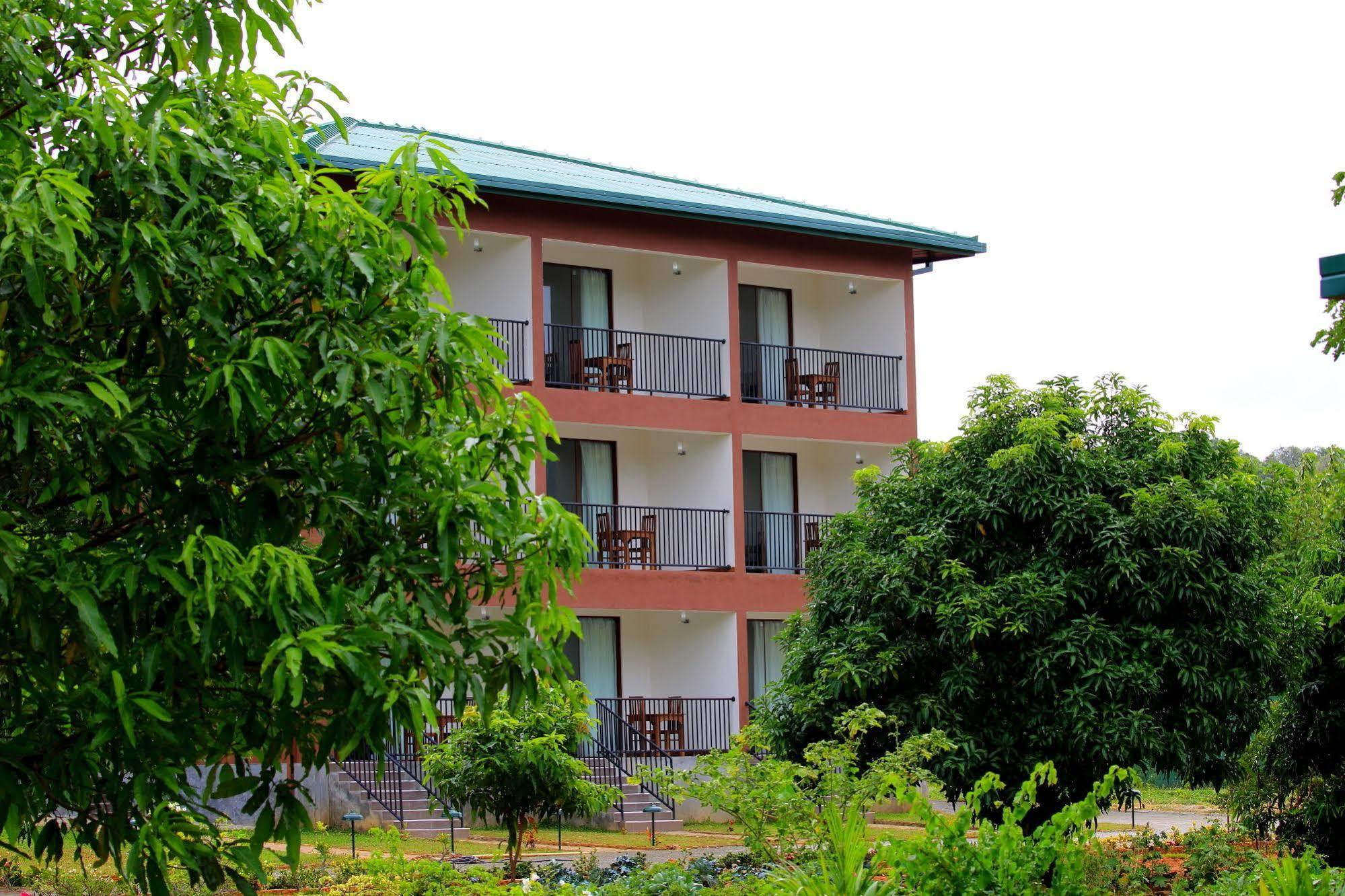 Hotel Grand & Gangula Dambulla Exterior foto