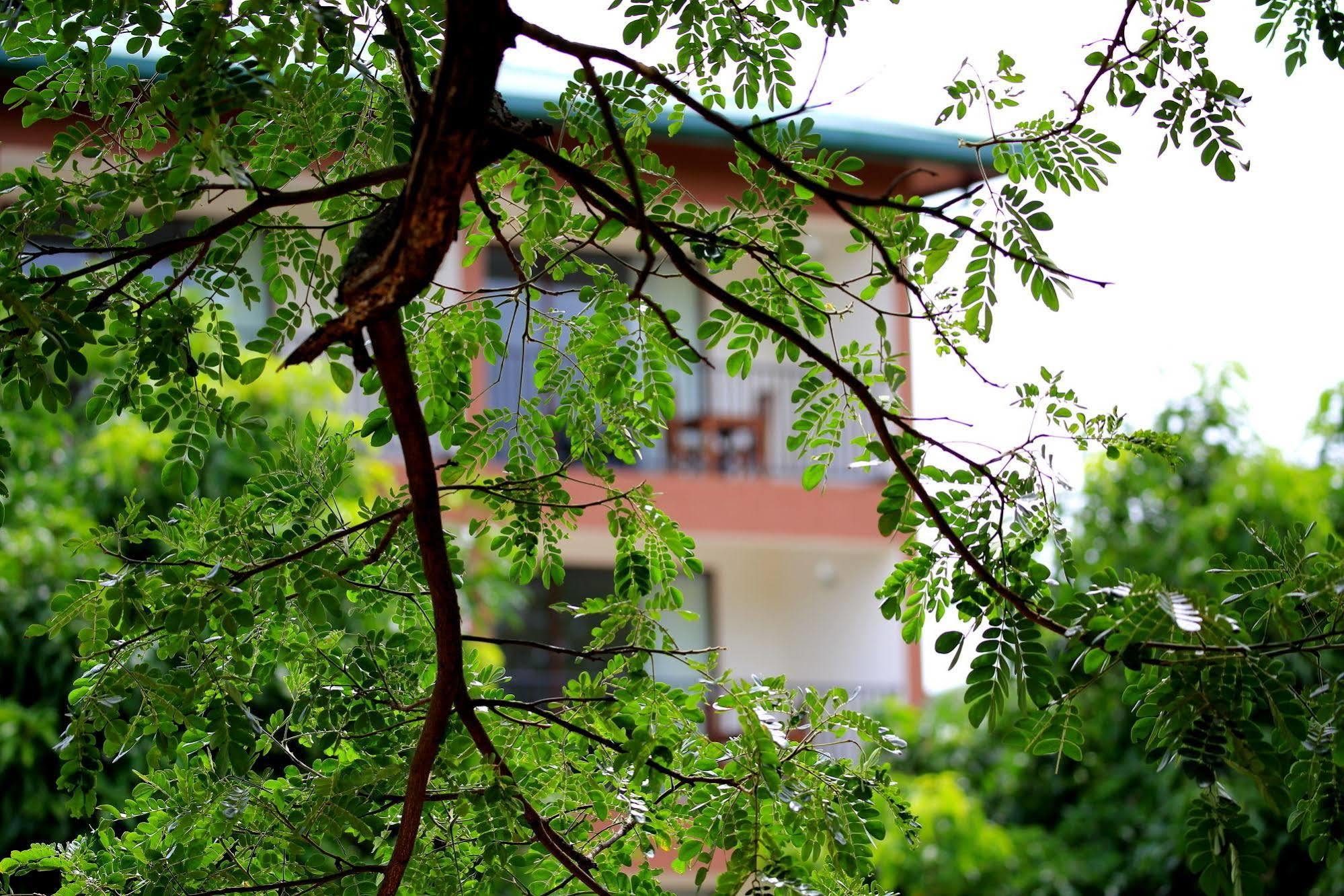 Hotel Grand & Gangula Dambulla Exterior foto
