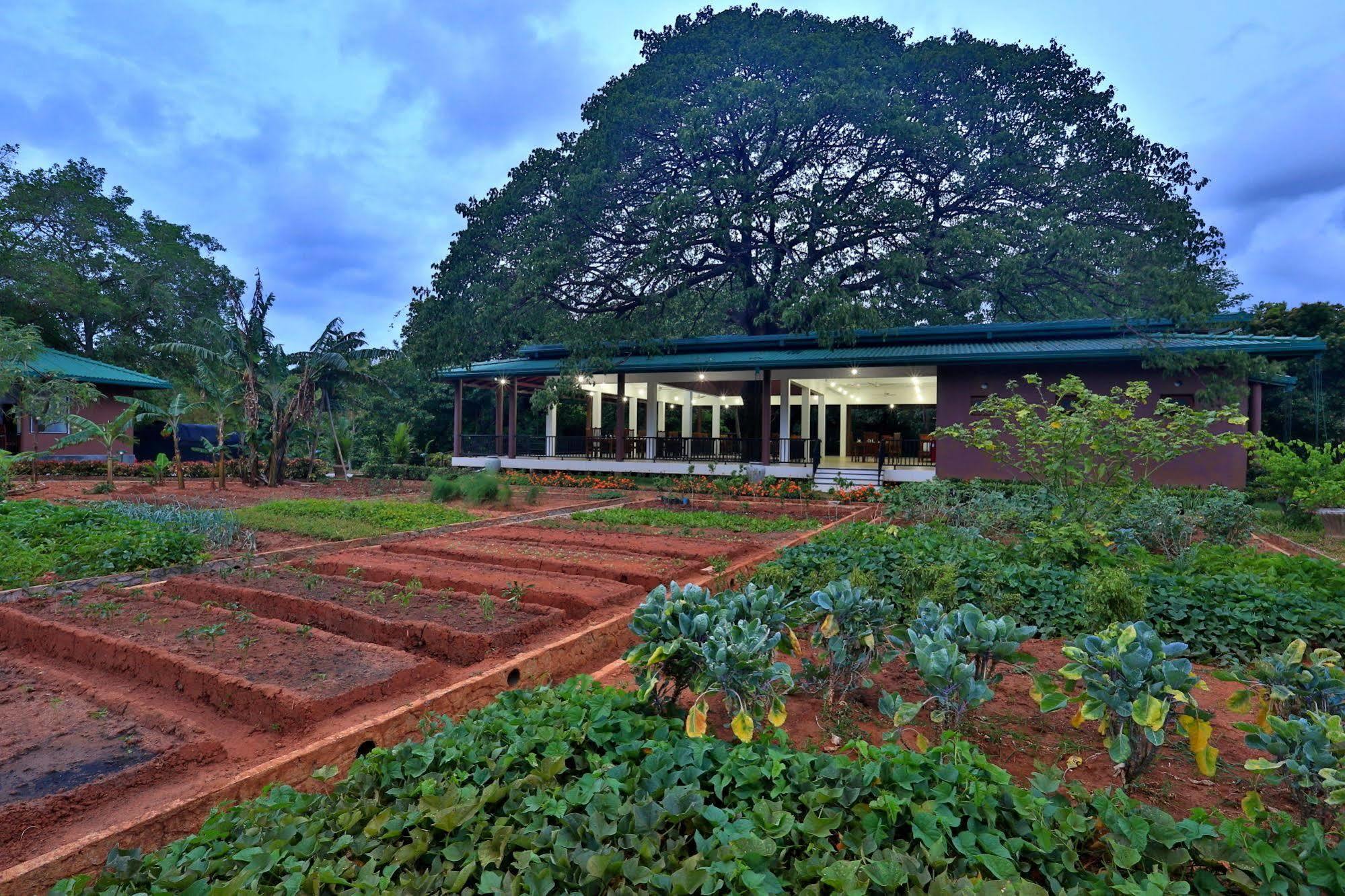 Hotel Grand & Gangula Dambulla Exterior foto